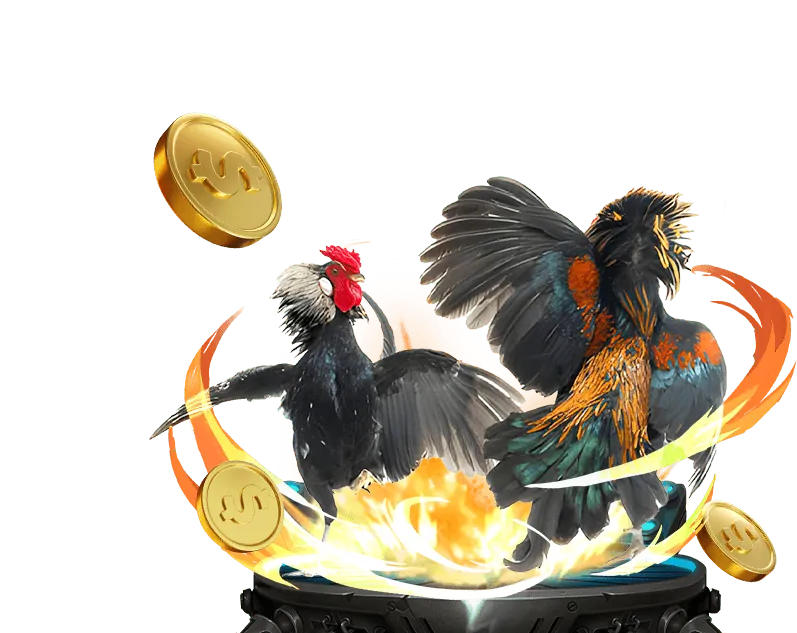 Bình luận viên chia sẻ mẹo đá gà Thomo